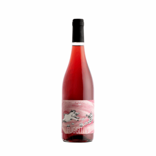 Sangiovese "Fuggitivo"