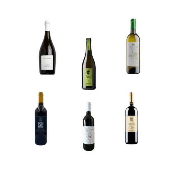 SELEZIONE X 6 "Ottobre"