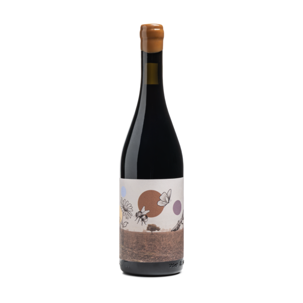 Nero di Troia PRIMAVERA D'AUTUNNO