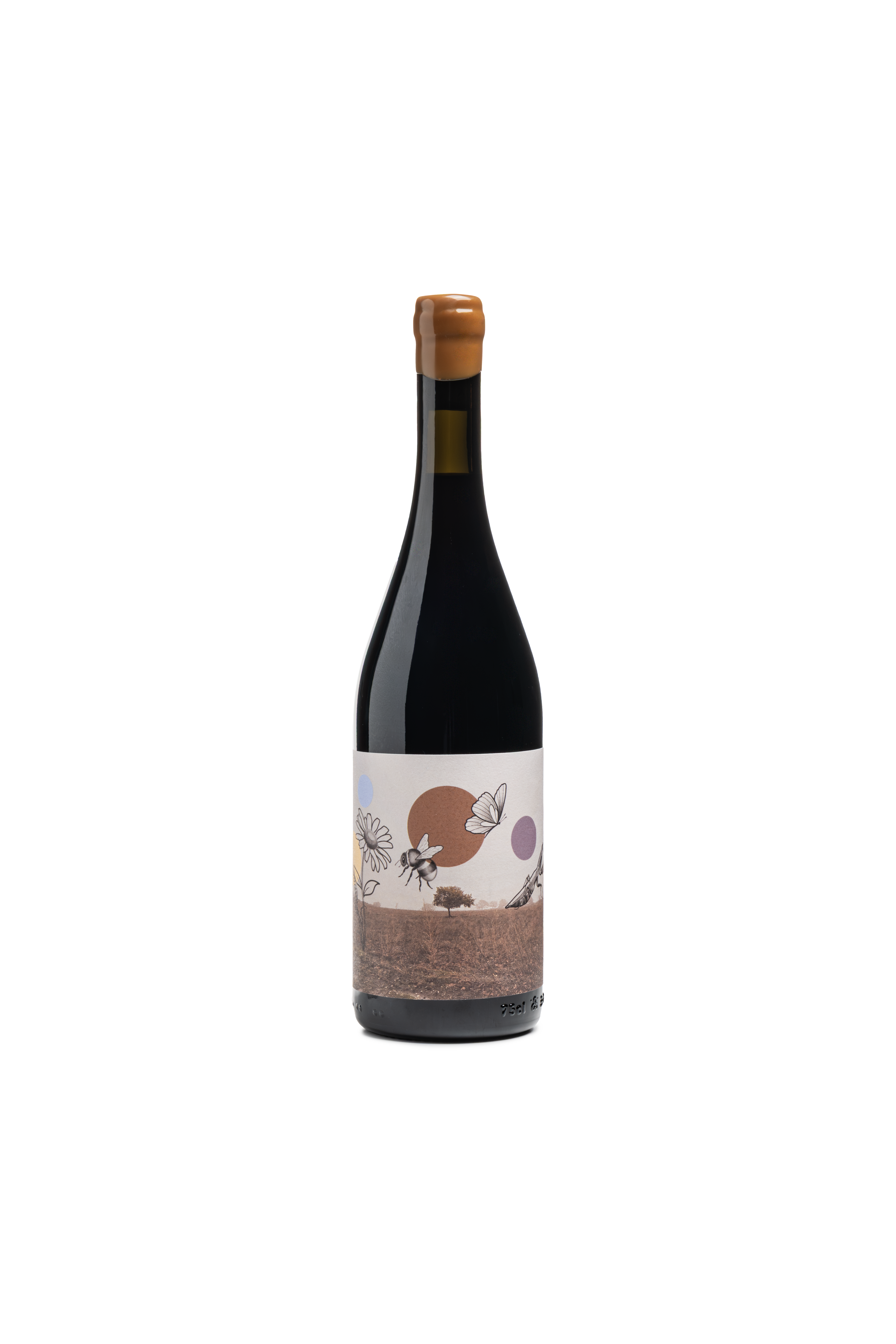 Nero di Troia PRIMAVERA D'AUTUNNO