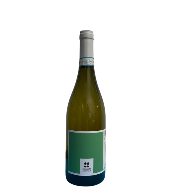 Bianco SUAVEMENTE