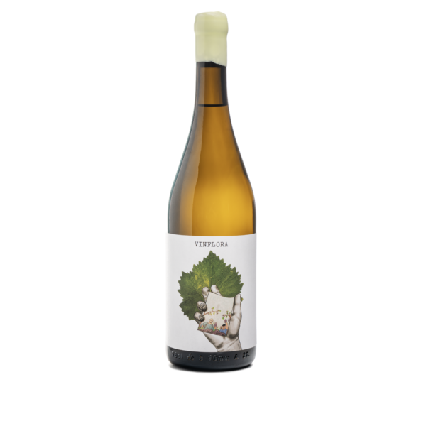 Trebbiano TRIPODIS