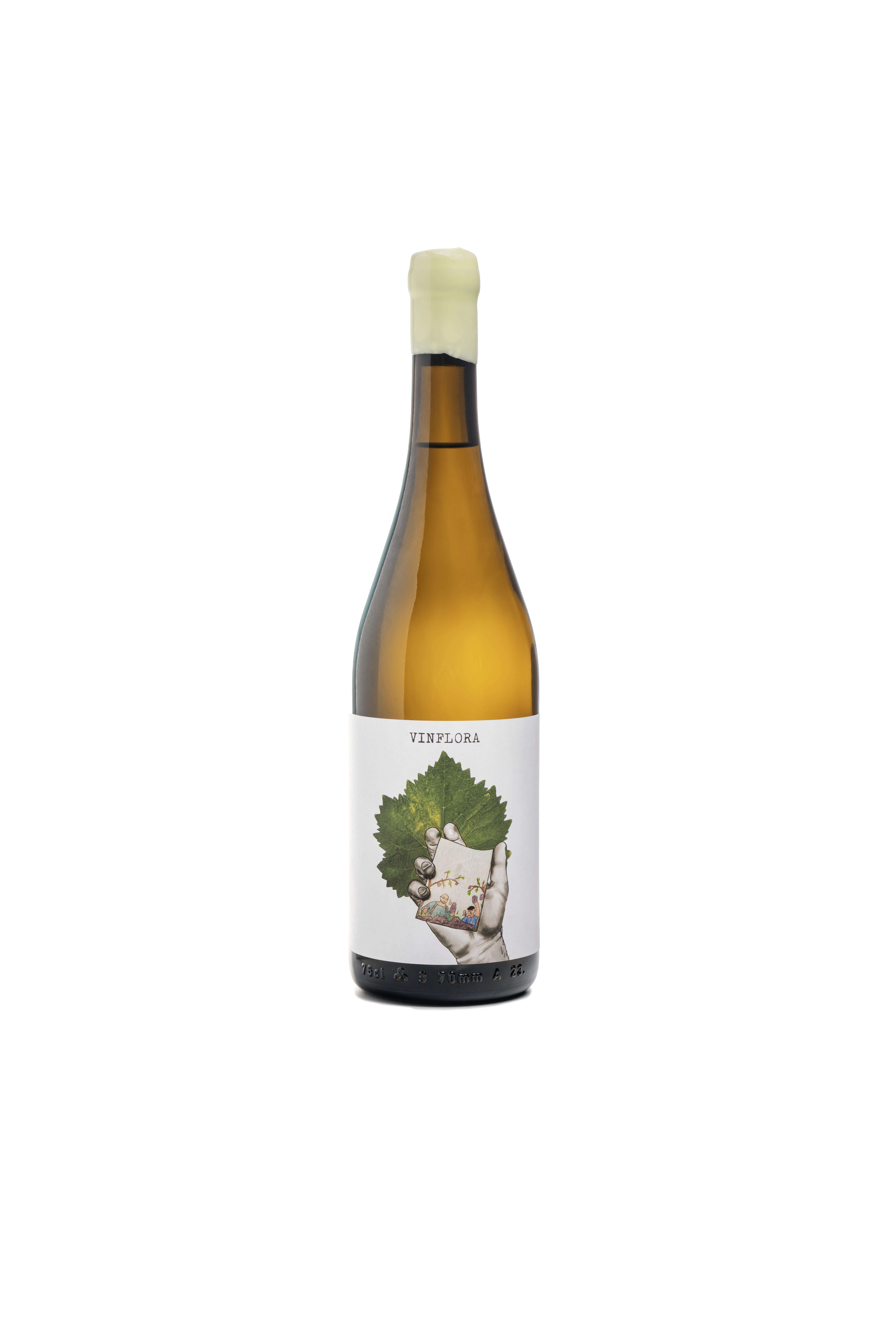 Trebbiano TRIPODIS