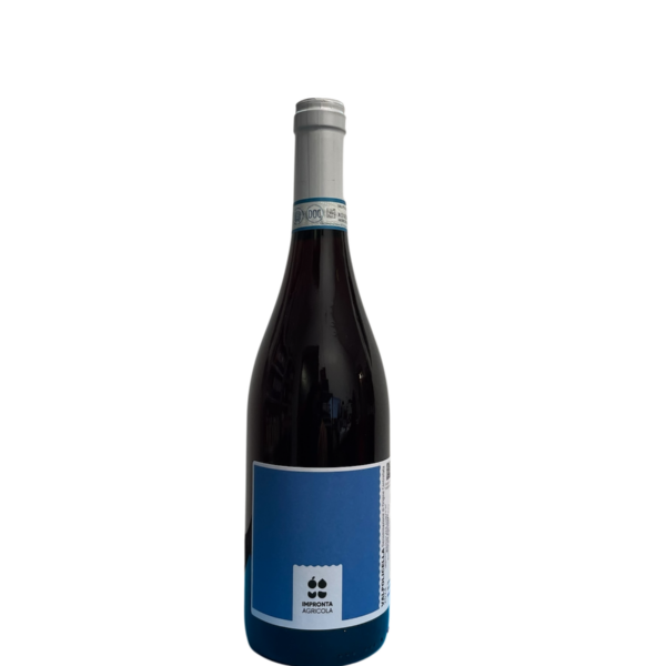 VALPOLICELLA DOC